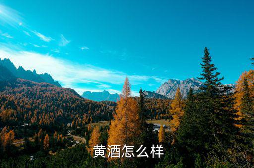 白塔黃酒怎么樣,陳黃灑、黃精統(tǒng)稱為什么?
