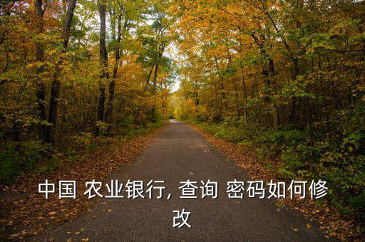 中國(guó) 農(nóng)業(yè)銀行, 查詢(xún) 密碼如何修改