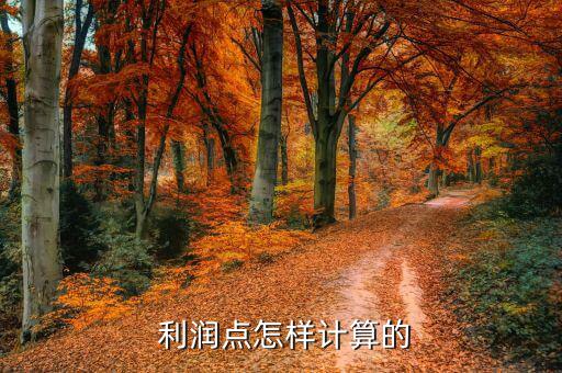  利潤點(diǎn)怎樣計算的