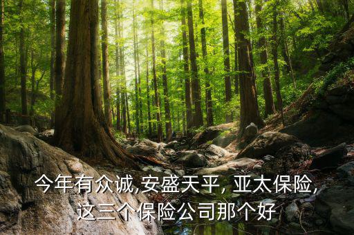 亞太財(cái)險怎么樣,亞太財(cái)產(chǎn)保險股份有限公司簡稱亞太-0