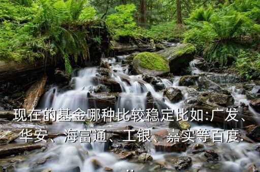 現(xiàn)在的基金哪種比較穩(wěn)定比如:廣發(fā)、 華安、海富通、工銀、嘉實(shí)等百度...