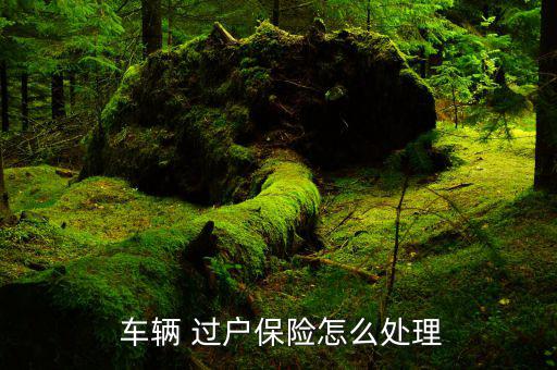  車(chē)輛 過(guò)戶(hù)保險(xiǎn)怎么處理