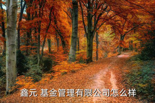 鑫元基金怎么樣,鑫元基金經(jīng)營(yíng)范圍包括基金發(fā)行、基金賣出等