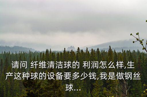 請(qǐng)問 纖維清潔球的 利潤(rùn)怎么樣,生產(chǎn)這種球的設(shè)備要多少錢,我是做鋼絲球...