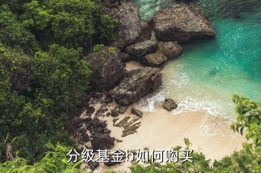 怎么買(mǎi)券商b,分級(jí)基金進(jìn)取b類(lèi)如何選擇券商為新股開(kāi)戶?