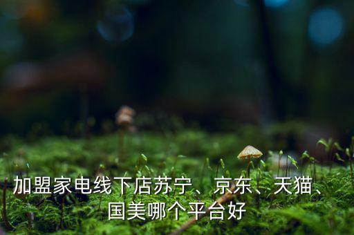 加盟家電線下店蘇寧、京東、天貓、 國(guó)美哪個(gè)平臺(tái)好