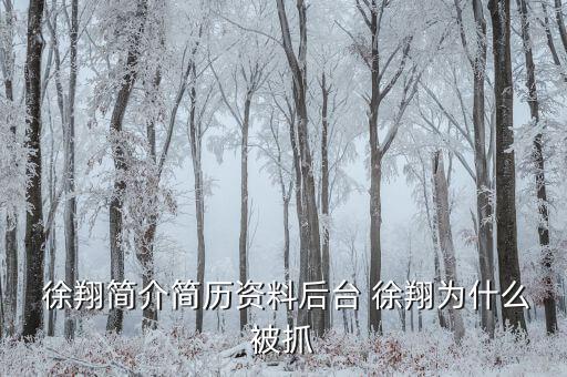 徐翔是怎么回事,徐翔、王偉、犯受賄罪被判入獄五年半