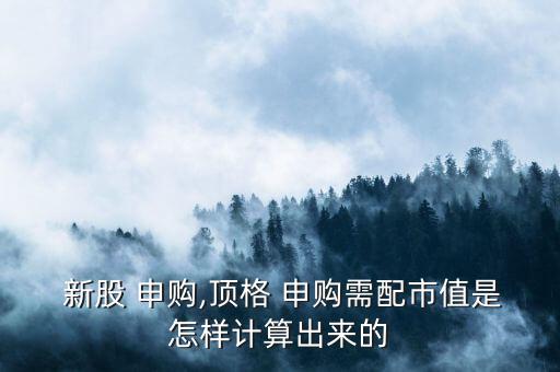  新股 申購(gòu),頂格 申購(gòu)需配市值是怎樣計(jì)算出來的
