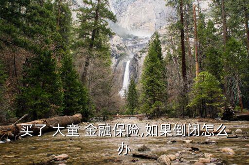 買(mǎi)了 大童 金融保險(xiǎn),如果倒閉怎么辦