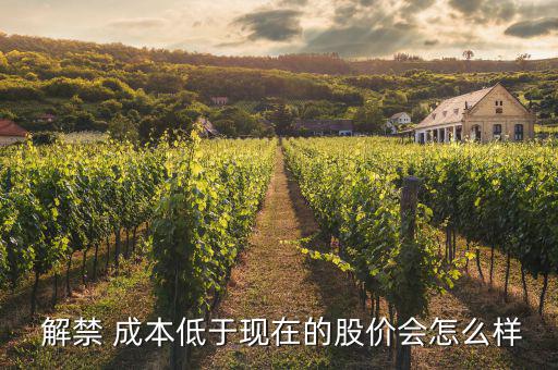  解禁 成本低于現(xiàn)在的股價(jià)會怎么樣