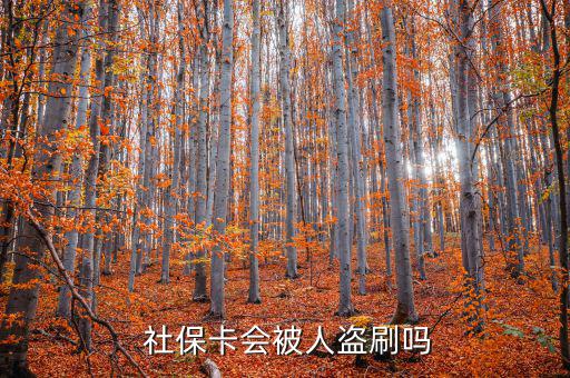 社保卡被盜刷怎么辦,社保補卡服務(wù)丟了怎么辦