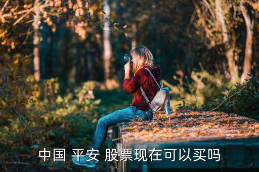 中國 平安 股票現在可以買嗎