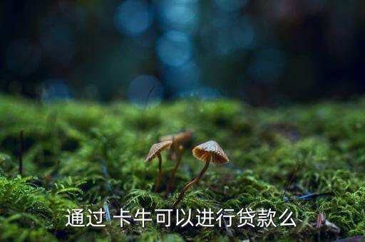 通過 卡?？梢赃M行貸款么