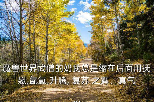 魔獸世界武僧的奶我總是縮在后面用撫慰,氤氳,升騰, 復蘇 之霧、真氣...