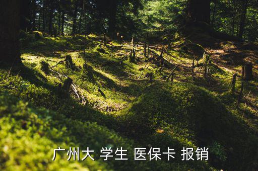  廣州大 學(xué)生 醫(yī)?？?報(bào)銷