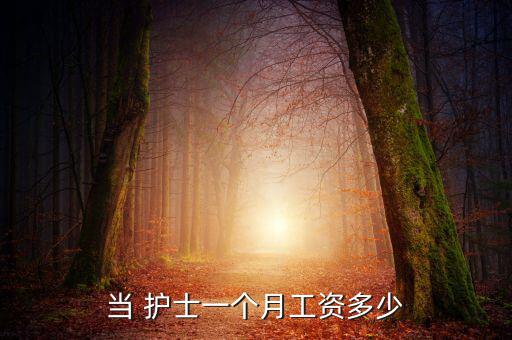 當(dāng) 護(hù)士一個月工資多少