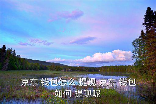  京東 錢(qián)包怎么 提現(xiàn) 京東 錢(qián)包如何 提現(xiàn)呢