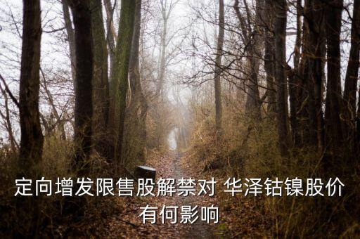 華澤鈷鎳怎么樣,鎳礦概念股:吉恩鎳業(yè)、華澤鈷鎳、恒順電氣