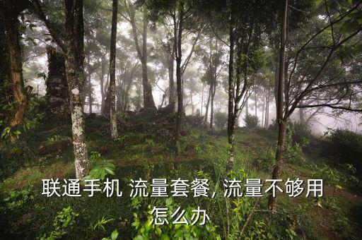 聯(lián)通4g流量不夠用怎么辦,如何辦理網絡流量套餐?