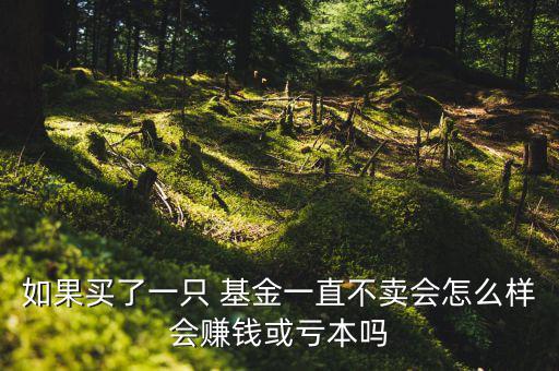 如果買(mǎi)了一只 基金一直不賣(mài)會(huì)怎么樣會(huì)賺錢(qián)或虧本嗎