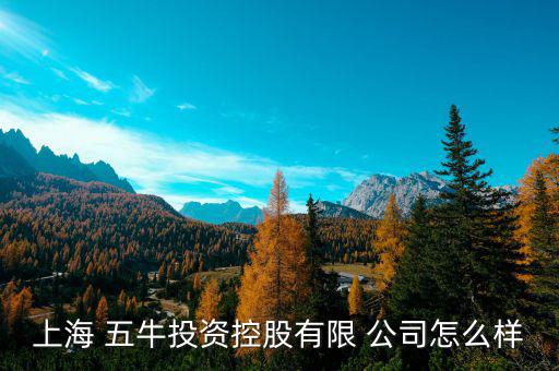 五?；鸸驹趺礃?上海五牛投資控股有限公司處于開(kāi)業(yè)狀態(tài)