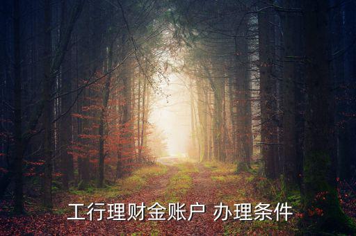  工行理財(cái)金賬戶(hù) 辦理?xiàng)l件