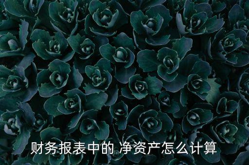 財(cái)務(wù)報表中的 凈資產(chǎn)怎么計(jì)算