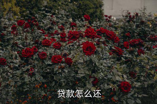 貸款怎么還合適,中國(guó)銀行推出等額本息、月均本金等還款方式