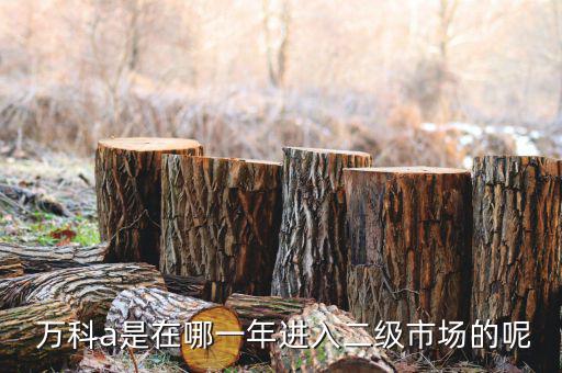  萬科a是在哪一年進(jìn)入二級(jí)市場的呢