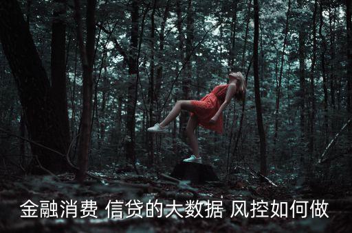 信貸風控怎么做,華府數(shù)學系提供全面風險診斷和策略優(yōu)化建議