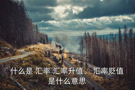 什么是 匯率 匯率升值、 匯率貶值是什么意思