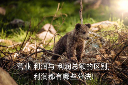 營業(yè) 利潤(rùn)與 利潤(rùn)總額的區(qū)別, 利潤(rùn)都有哪些分法!