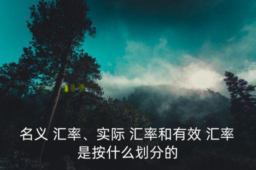 名義 匯率、實(shí)際 匯率和有效 匯率是按什么劃分的