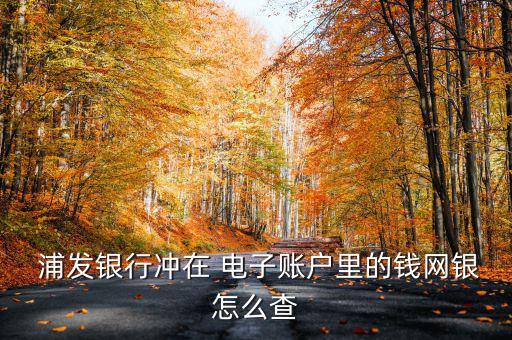 浦發(fā)電子現金怎么消費,浦發(fā)bank網銀服務如何進行?