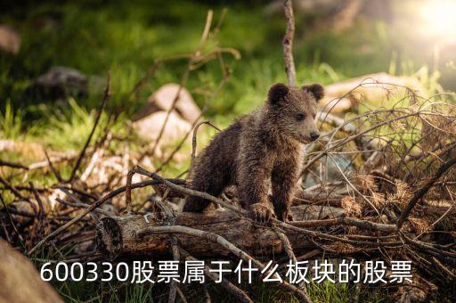曙光股份是什么板塊，600330股票屬于什么板塊的股票