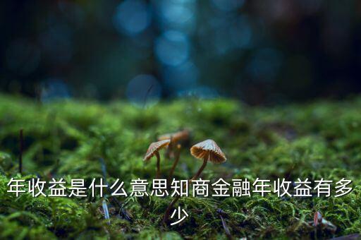 資金占用年收益是什么意思，利息支出中有個(gè)資金占用費(fèi)這個(gè)是什么意思