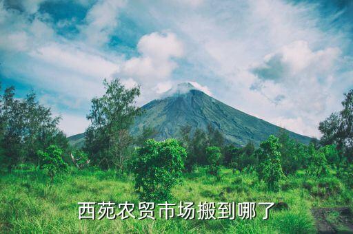 西苑早市什么時(shí)候拆，昌邑市西苑小區(qū)還會拆遷嗎
