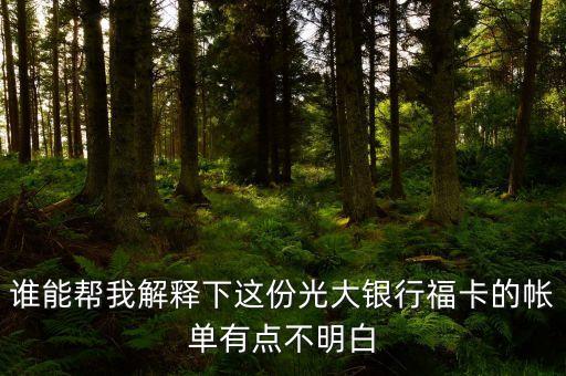 光大的賬單明細(xì)都什么意思，誰能幫我解釋下這份光大銀行?？ǖ膸斡悬c(diǎn)不明白