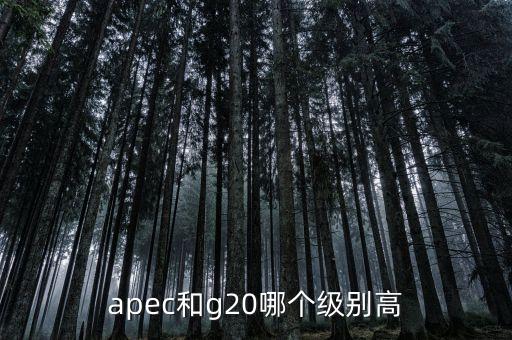 國(guó)際貿(mào)易額由什么組成，國(guó)際貿(mào)易額和對(duì)外貿(mào)易額兩者的區(qū)別
