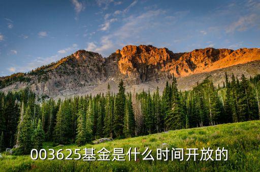 001815什么時(shí)候開放，003625基金是什么時(shí)間開放的