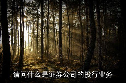 什么是類投行業(yè)務(wù)，請問什么是證券公司的投行業(yè)務(wù)