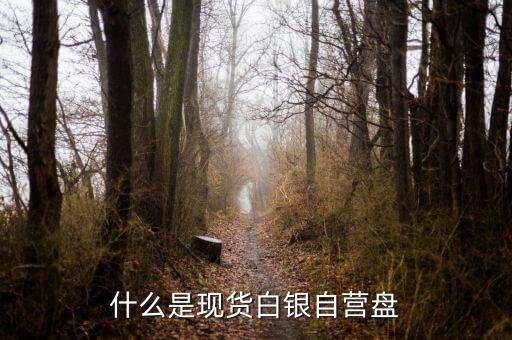 現(xiàn)貨盤是什么，國際盤現(xiàn)貨是什么意思
