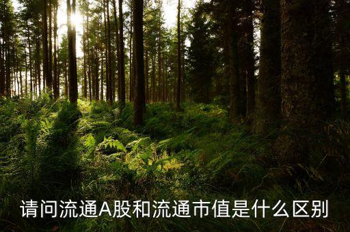 a股流通市值是什么，請問流通A股和流通市值是什么區(qū)別