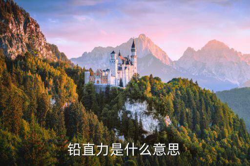 影子股什么意思，銷聲匿跡什么意思