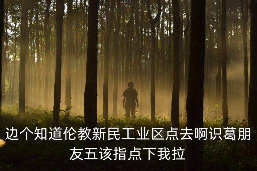 李葛衛(wèi)為什么入新民科技，邊個知道倫教新民工業(yè)區(qū)點(diǎn)去啊識葛朋友五該指點(diǎn)下我拉