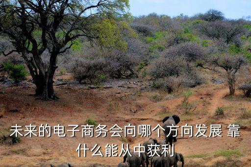 未來電商什么會掙錢，未來的電子商務會向哪個方向發(fā)展 靠什么能從中獲利
