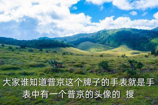 普京皮帶是什么牌子，大家誰(shuí)知道普京這個(gè)牌子的手表就是手表中有一個(gè)普京的頭像的  搜