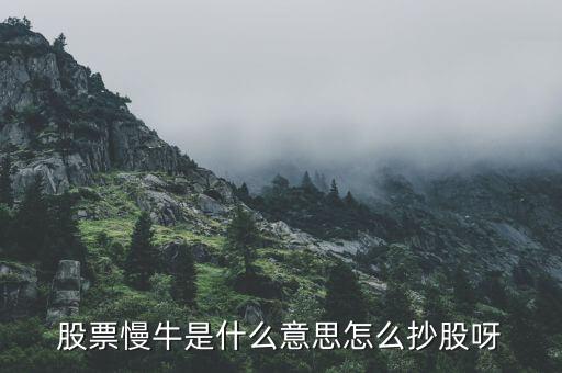 慢牛走勢是什么意思，股票慢牛是什么意思怎么抄股呀