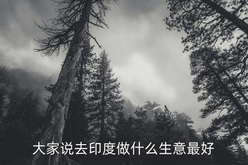 去印度做什么生意好，印度外貿(mào)做什么產(chǎn)品好