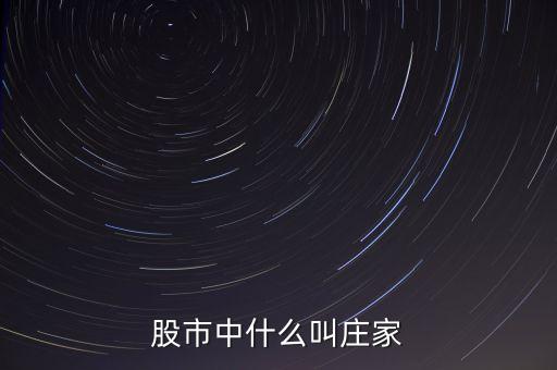 什么莊家股票，股票的莊家是指